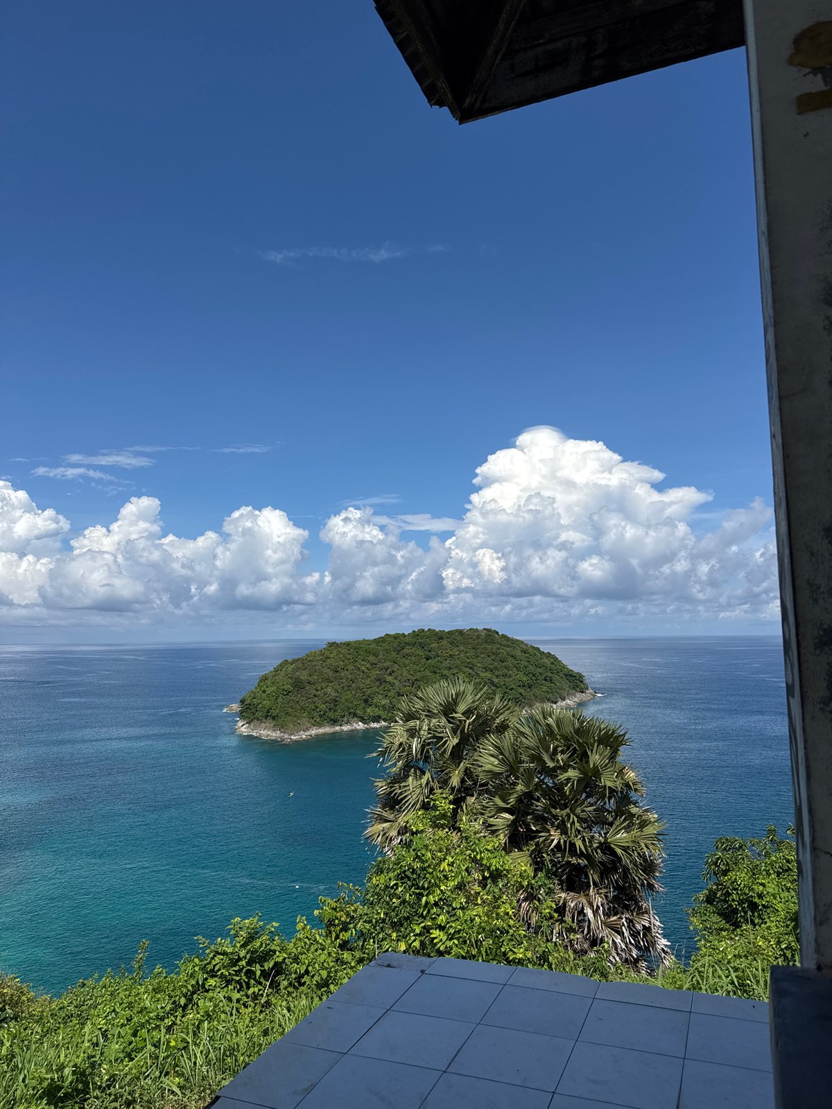 Tropical island exploration with aerial coastline views and local discoveries
