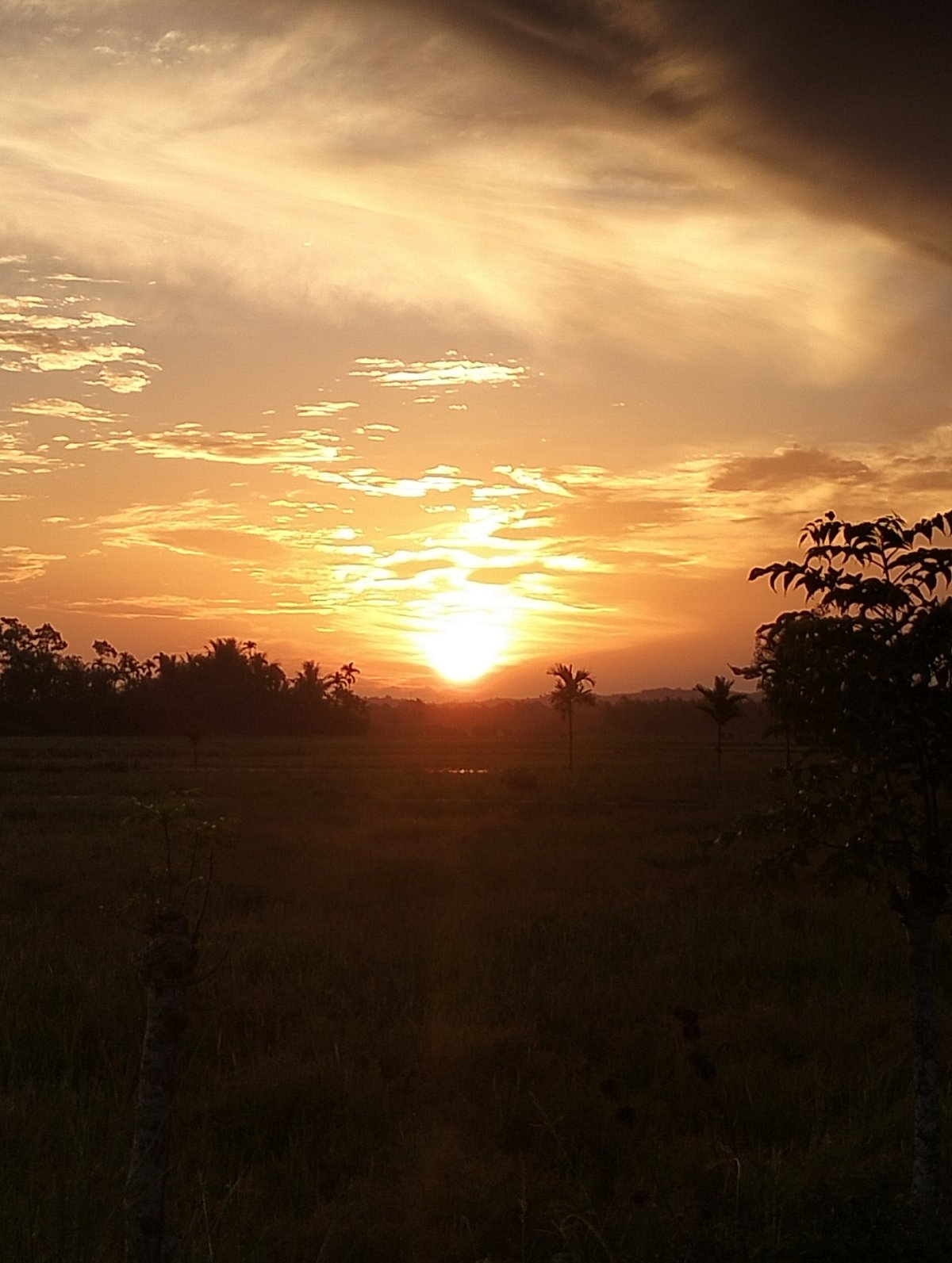 Golden sunset over an open field in rural Indonesia