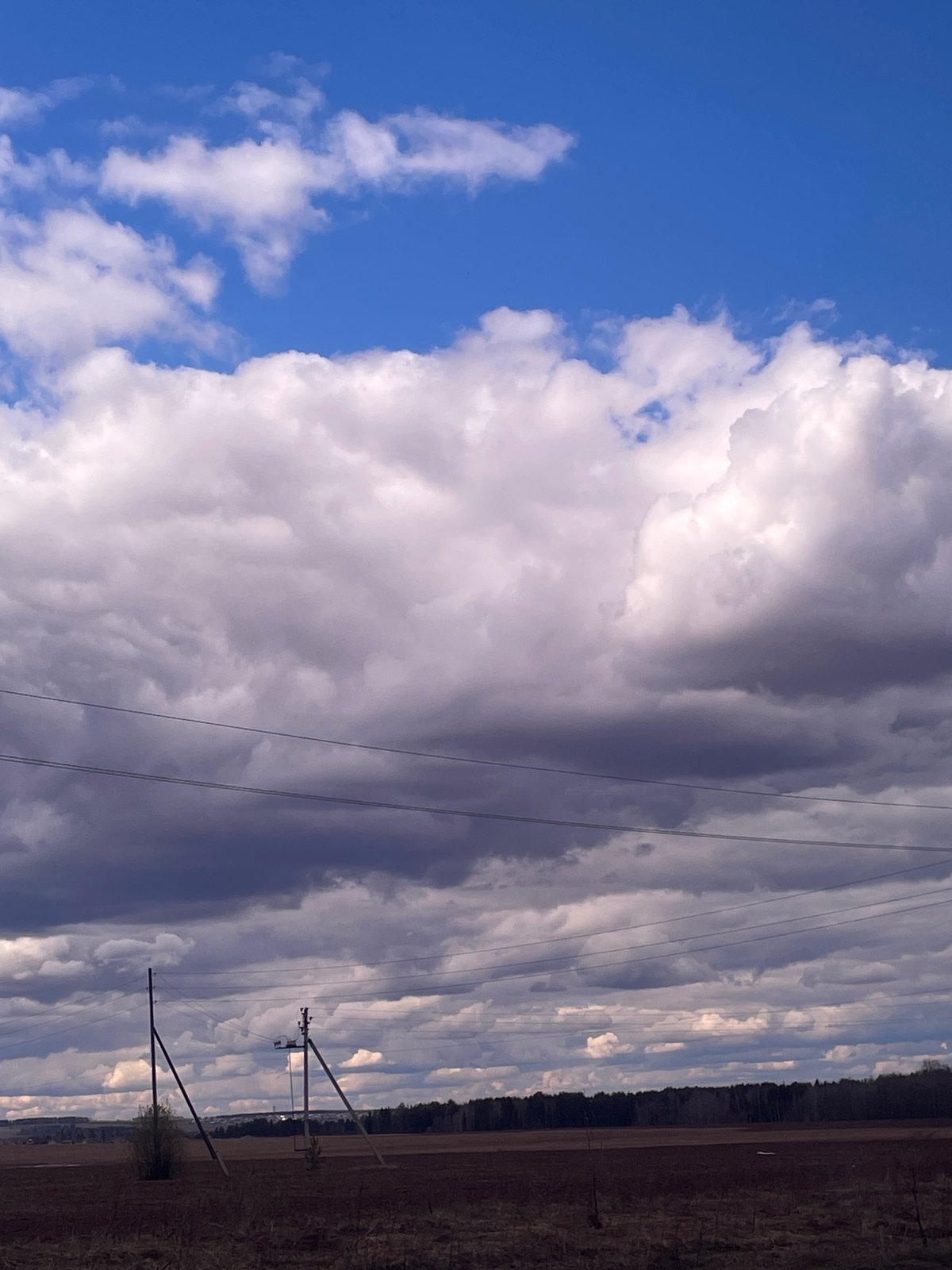 Dramatic morning sky observed over Новое Мартьяново, Russia