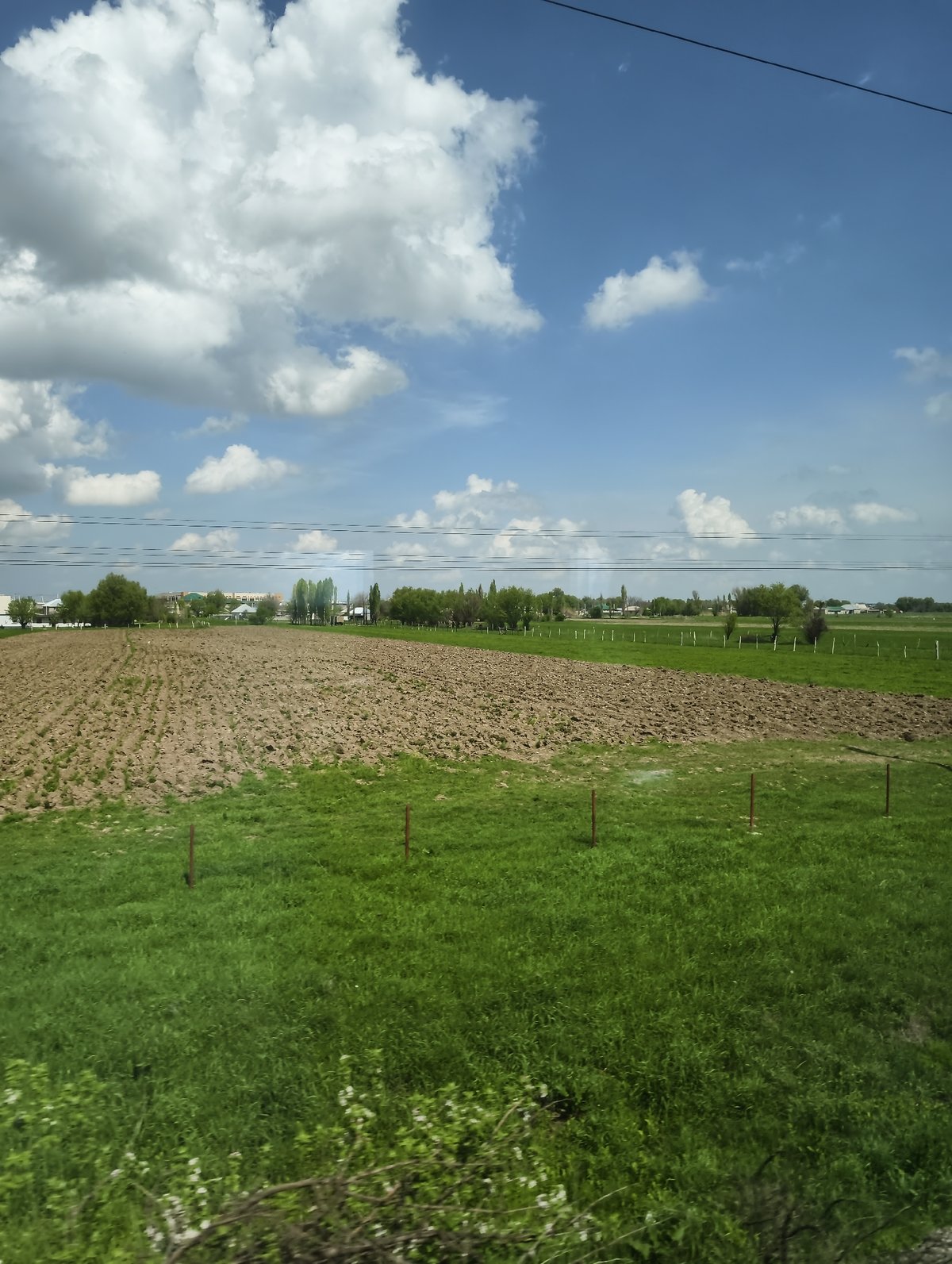 Train passenger documents rural journey with meals and countryside views