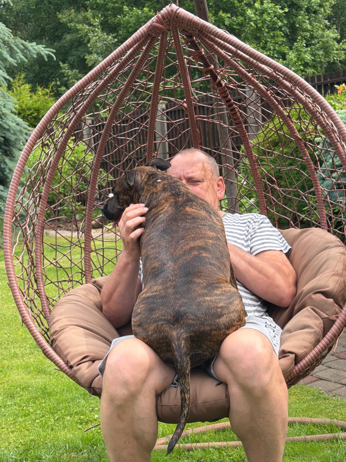 Lazy summer morning in a Baloži backyard with dogs and kids