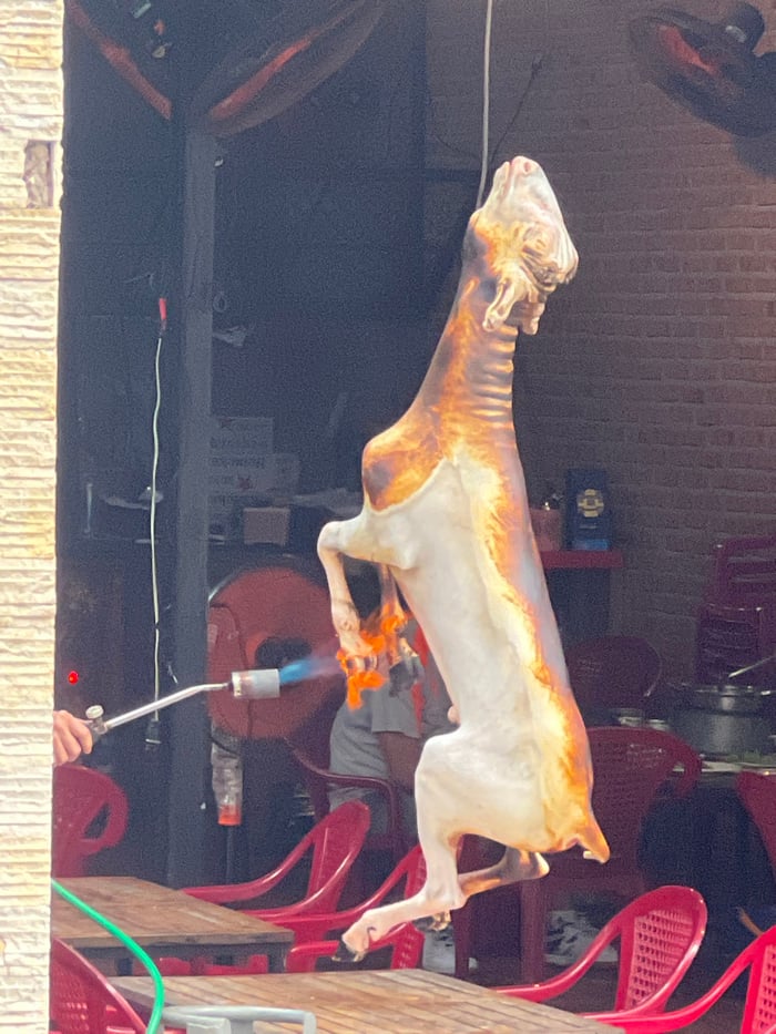 Food vendor processes goat carcass with torch in Nha Trang