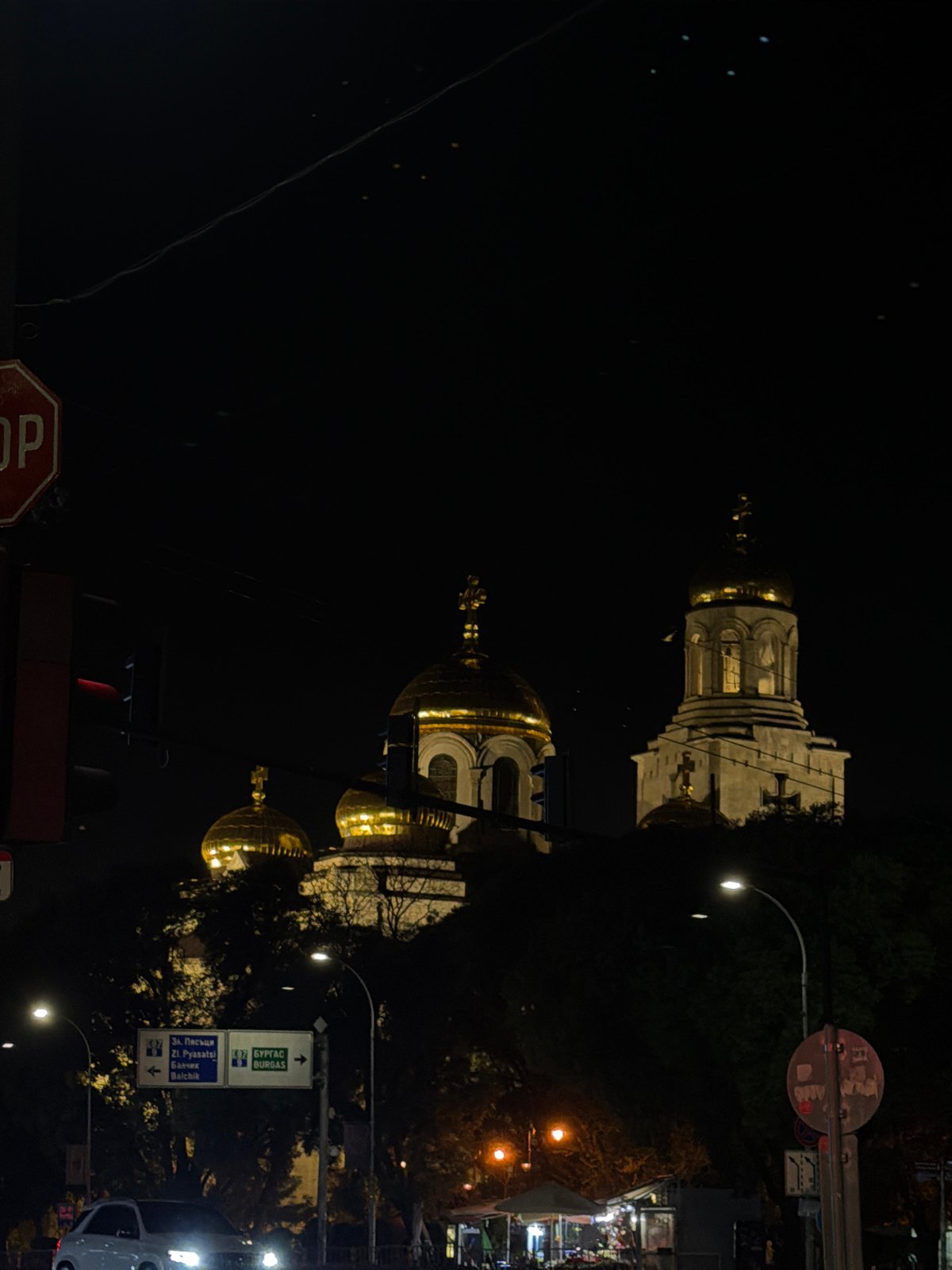 Evening scenes in Varna feature illuminated cathedral, playful dogs