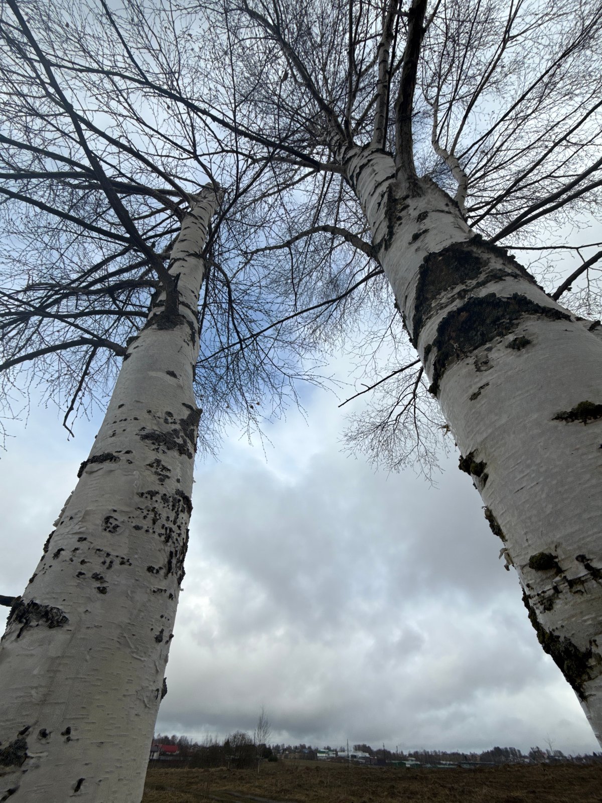 Spring scenes documented in Dmitrov during cloudy April day