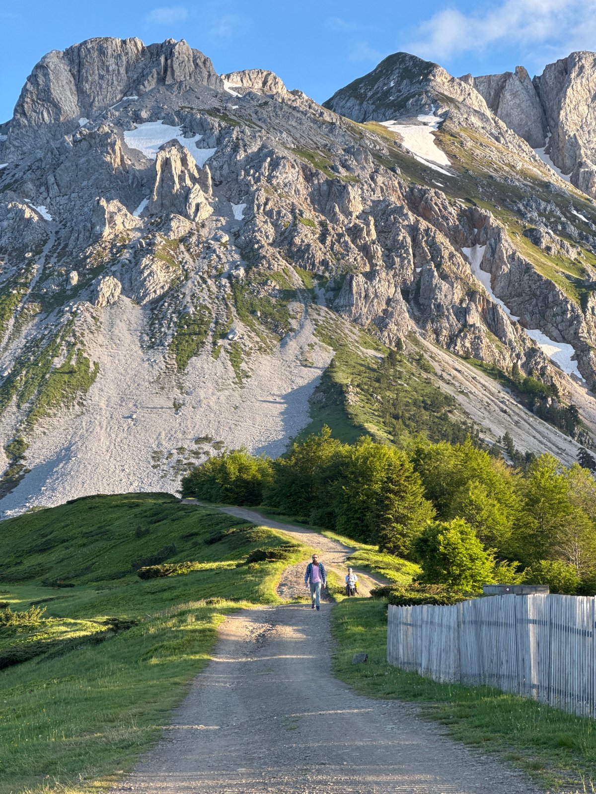 Mountain hiking and wildflower picking in Montenegro's Prokletije National Park