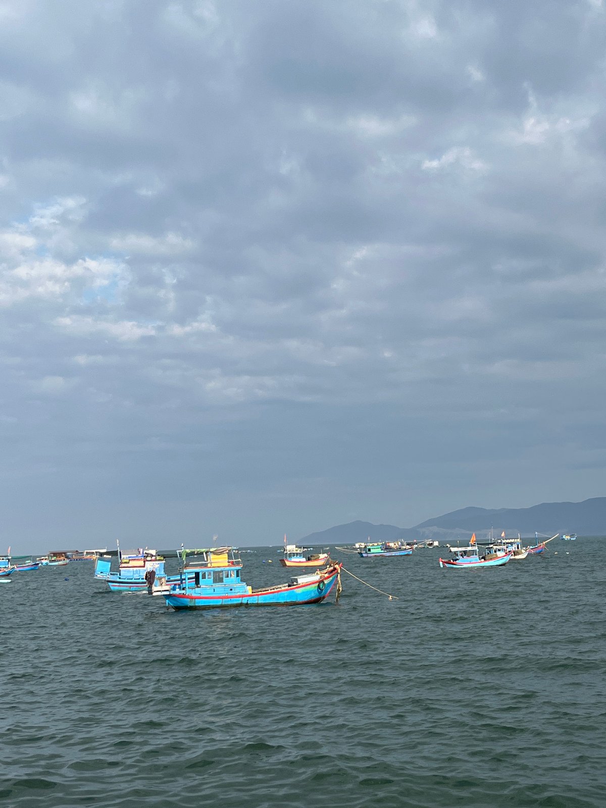 Morning coastal foraging and fishing activity documented in Nha Trang