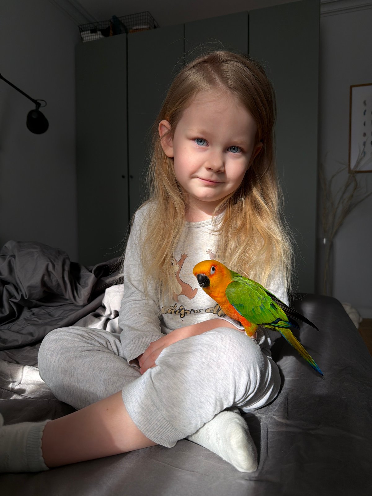Child plays with Sun Conure parrot in Khimki home