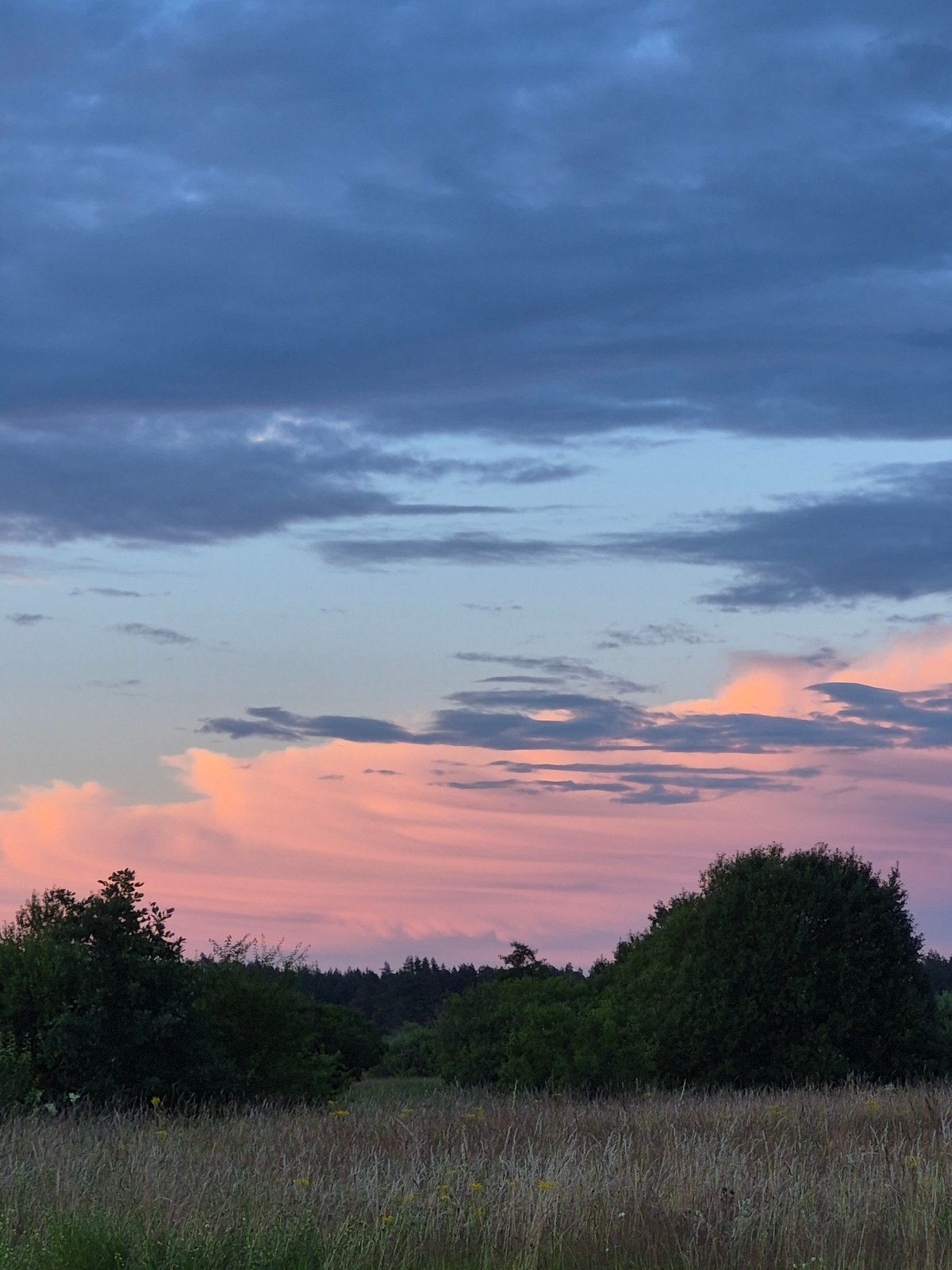 Dusk settles over fields and forest in rural Estonia