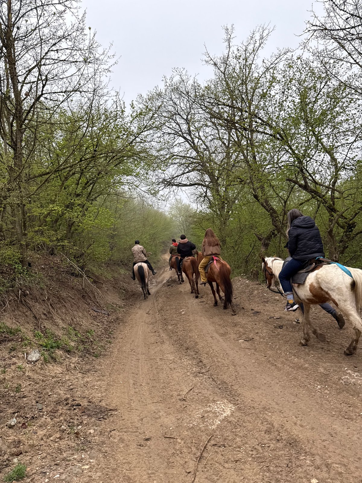 Horseback riders traverse wooded trail near Haghartsin, Armenia