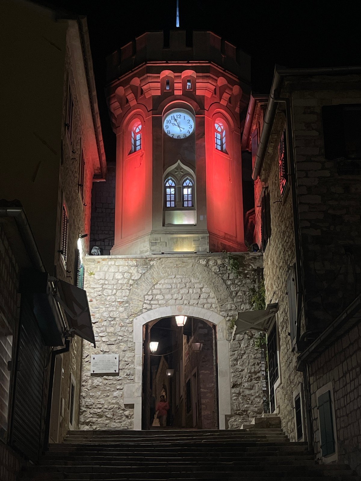Evening snapshots capture cats and nightlife in Herceg Novi