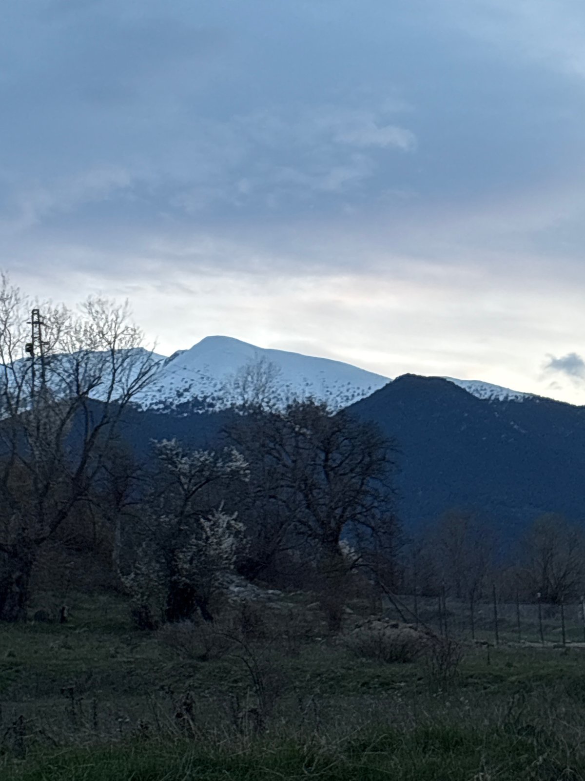 Spring afternoon with dog documented in Bansko, Bulgaria