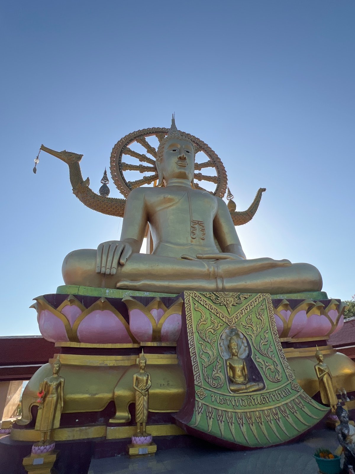 Golden Buddha statue and a relaxed dog, Ko Samui