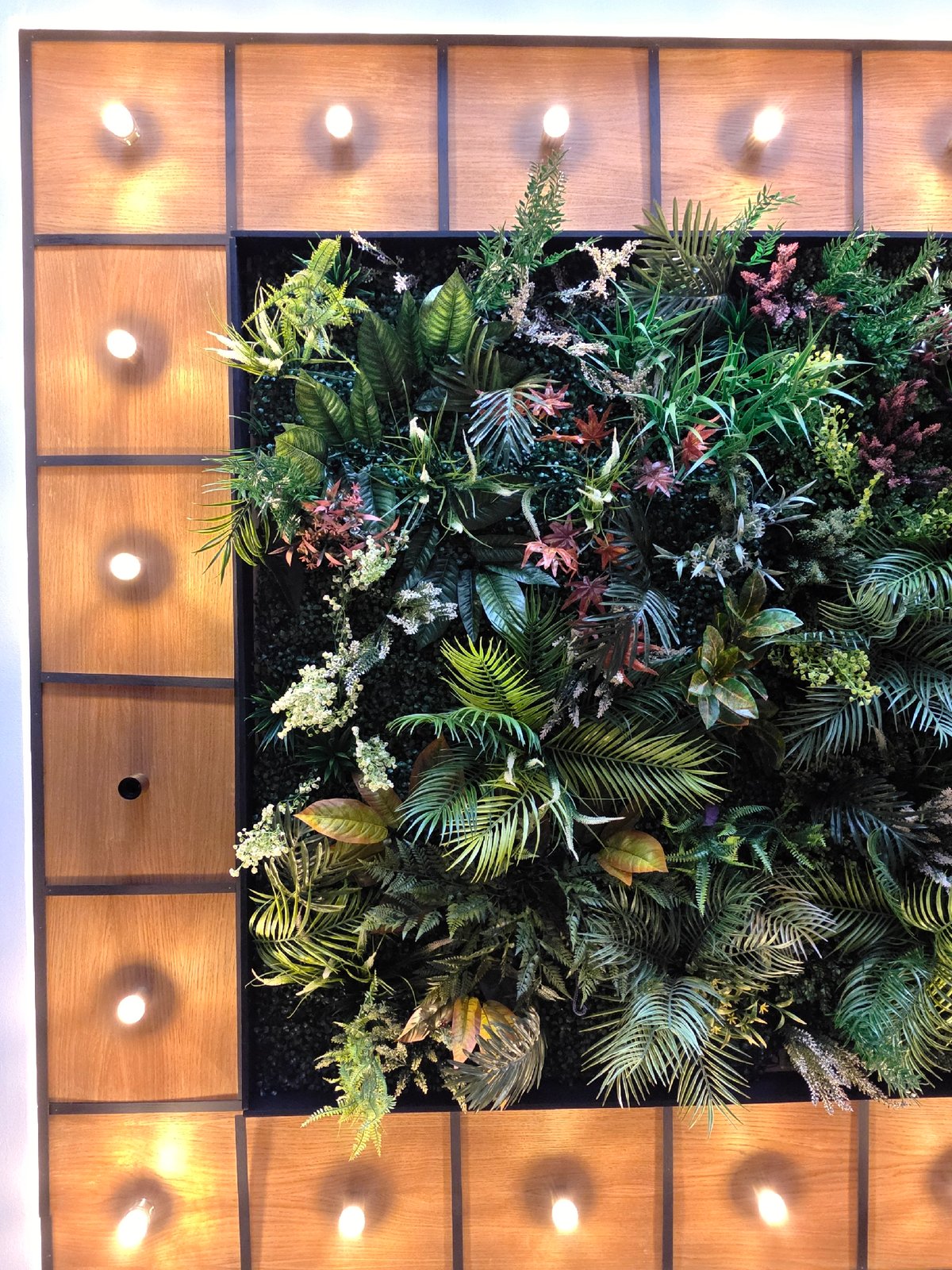 Illuminated botanical display documented in Varna, Bulgaria