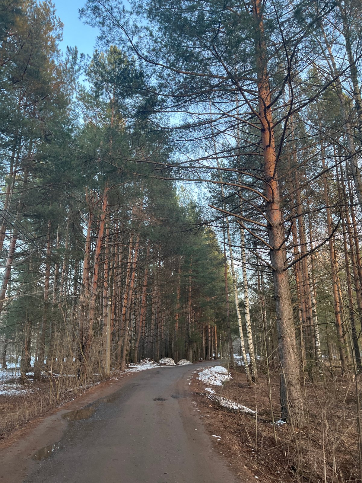 Woman documents gym visit and forest scenes in Chaikovsky