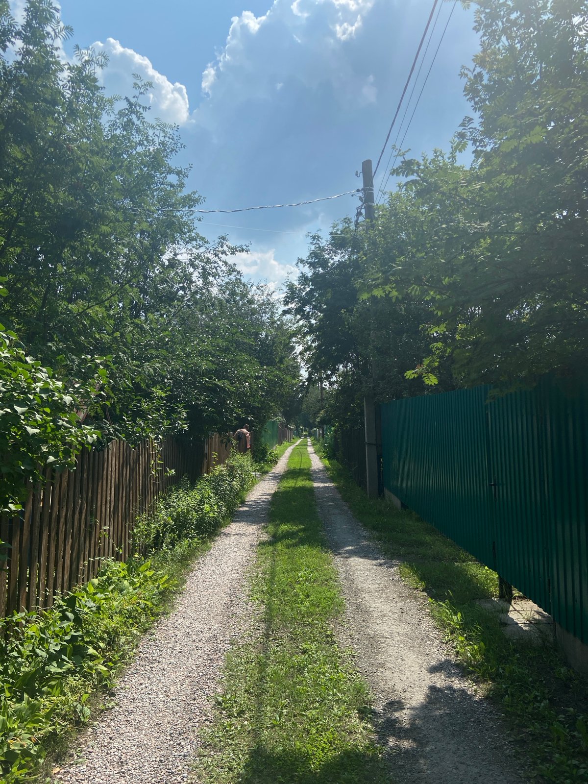 Rural paths, fences, and wildflowers on a sunny day