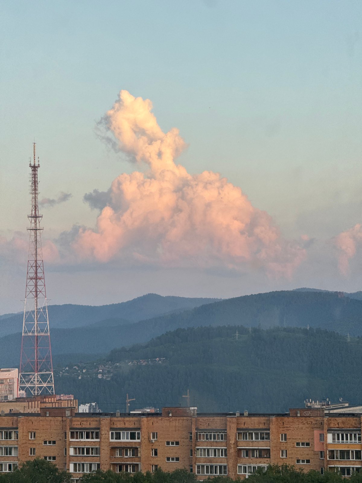 Sphynx cat and city views from Krasnoyarsk apartment
