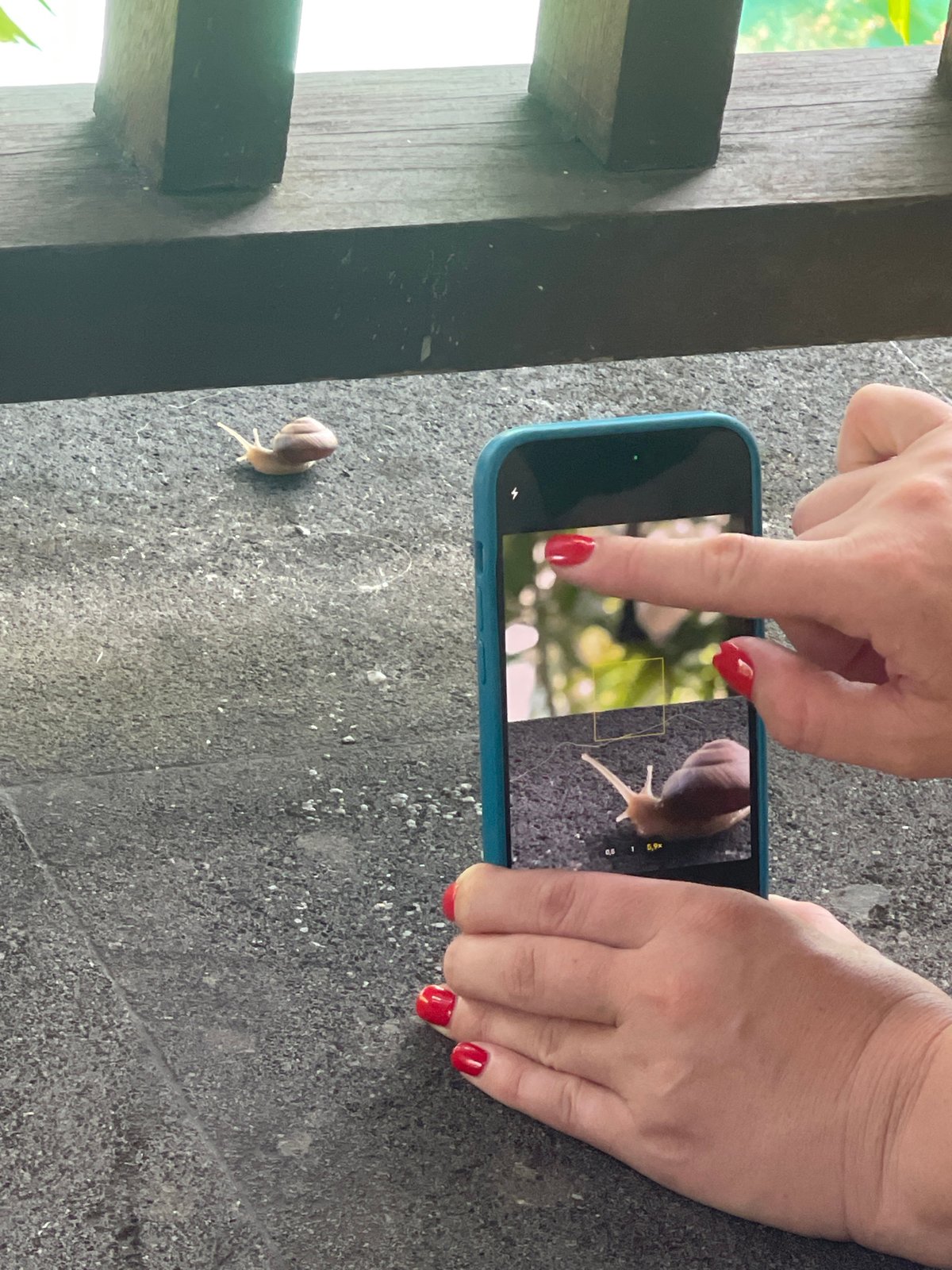 Snail photography and construction work witnessed at same location