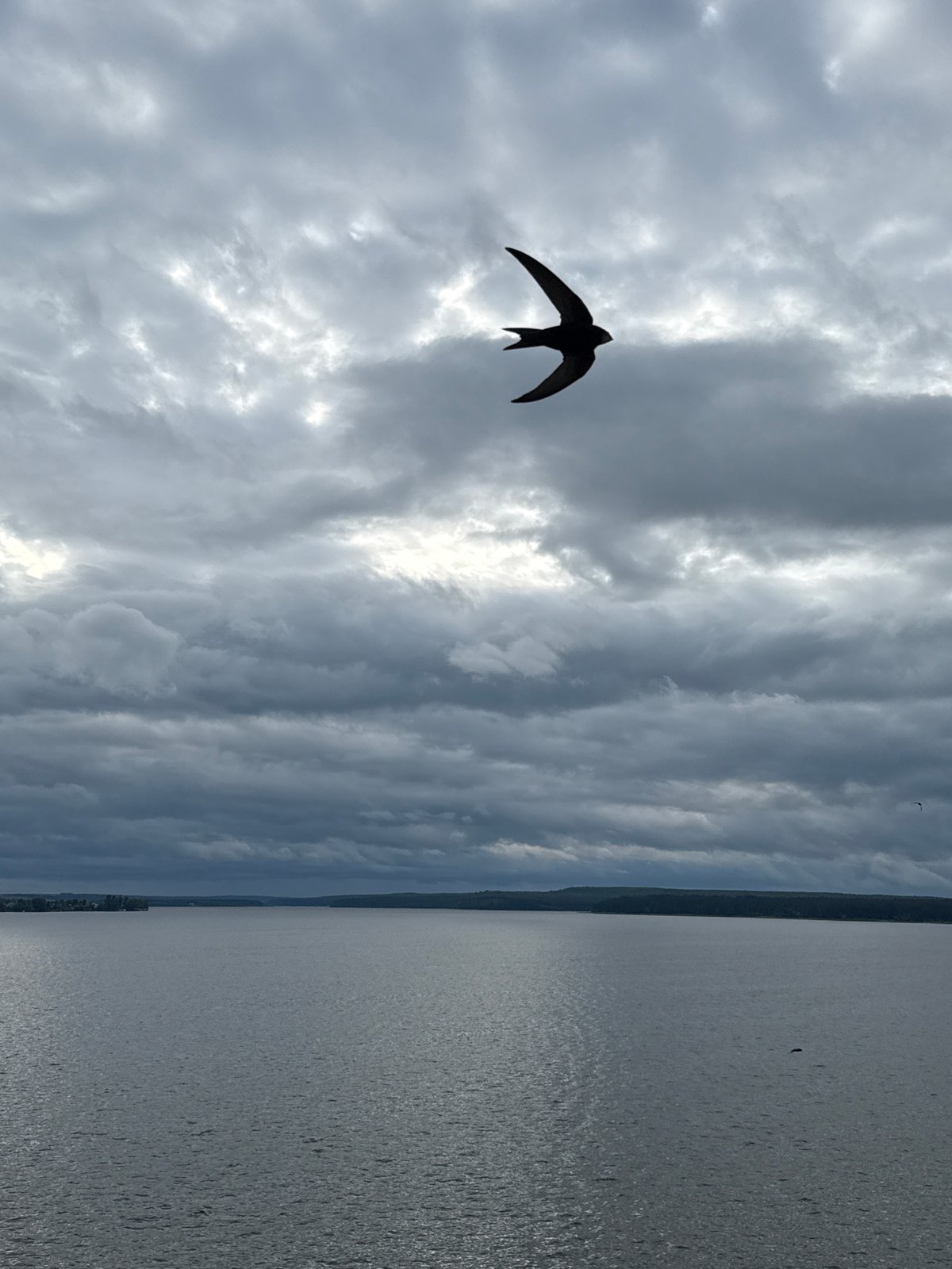 Overcast afternoon documented at Votkinsk Reservoir, Russia