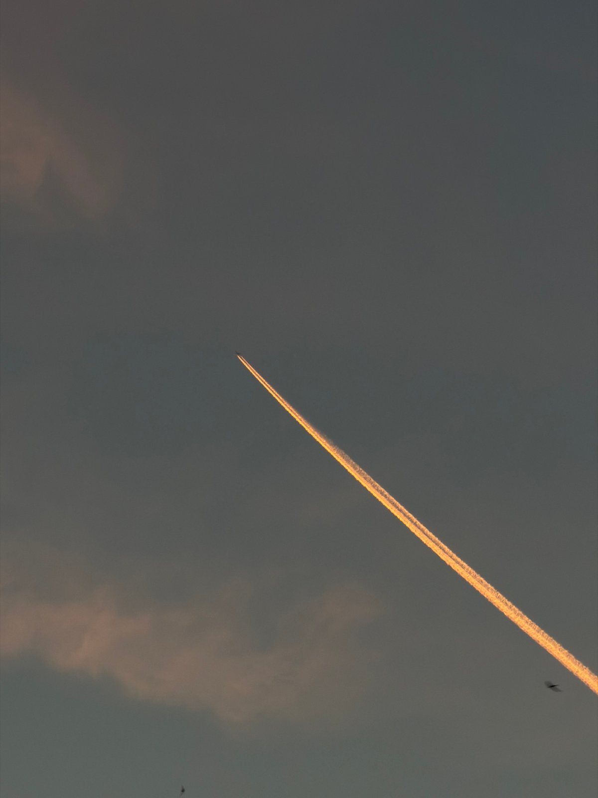 Sunset contrail glows golden against dark skies over Gorzów