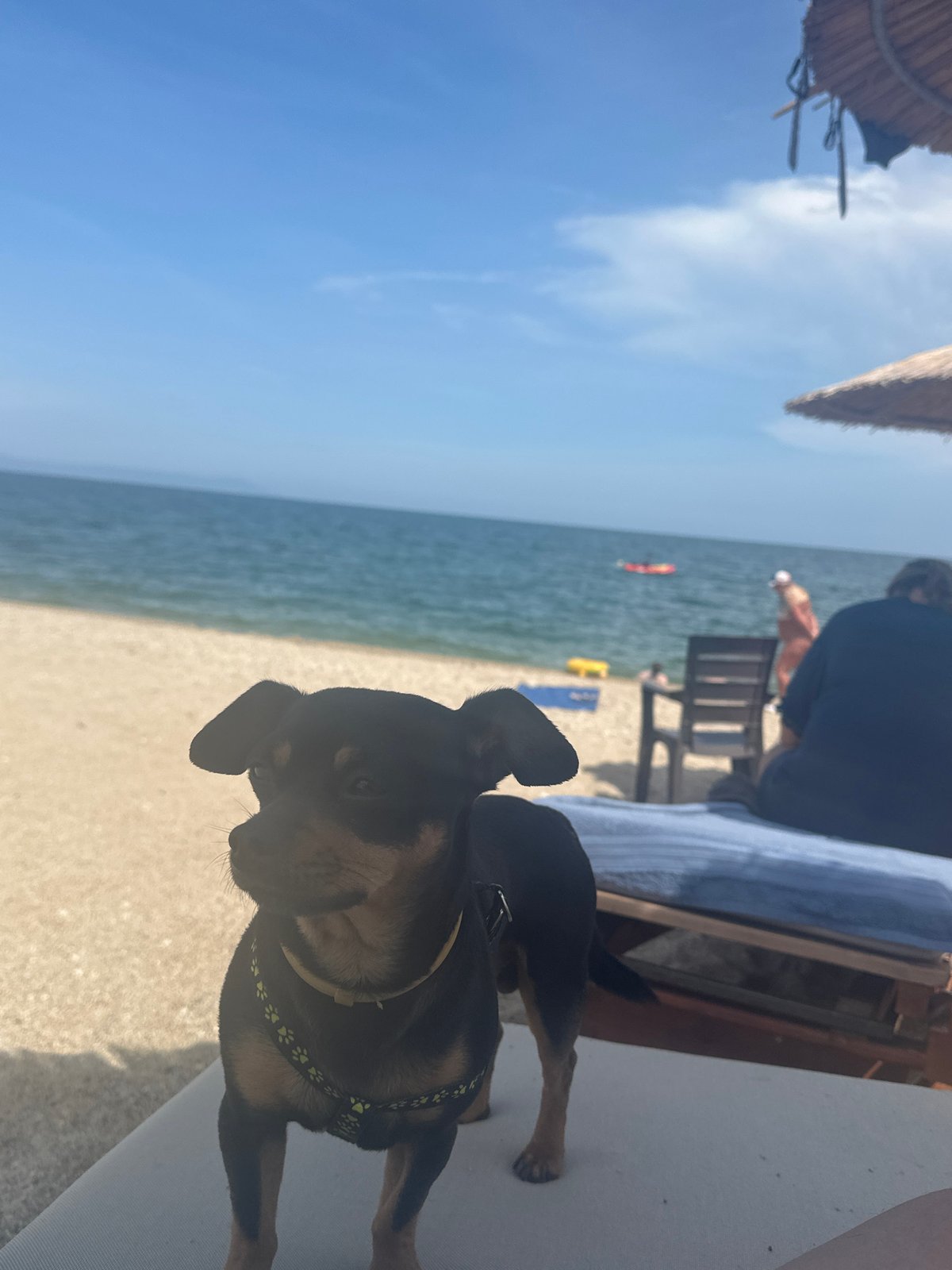 Summer beach day documented in Nea Vrasna, Greece