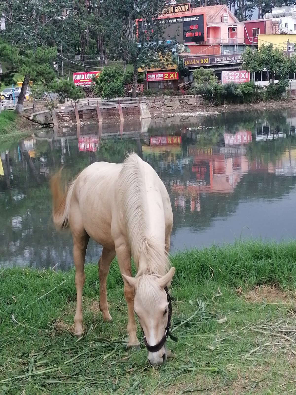Morning scenes along Da Lat's lakeside streets and cafes