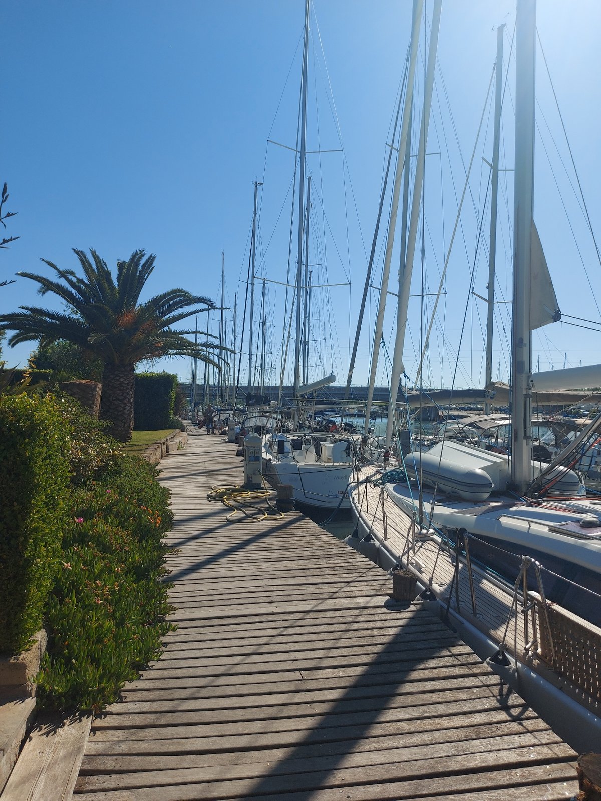 Morning scene at Fiumicino marina captures peaceful sailboat docking