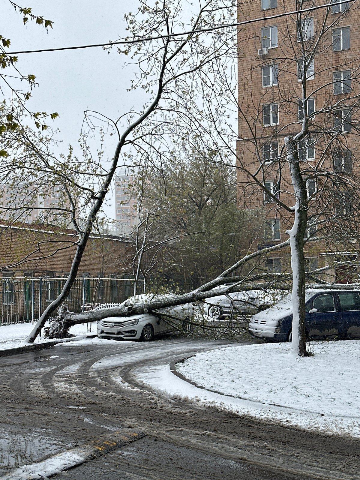 Late spring snowfall observed in Khimki, Russia