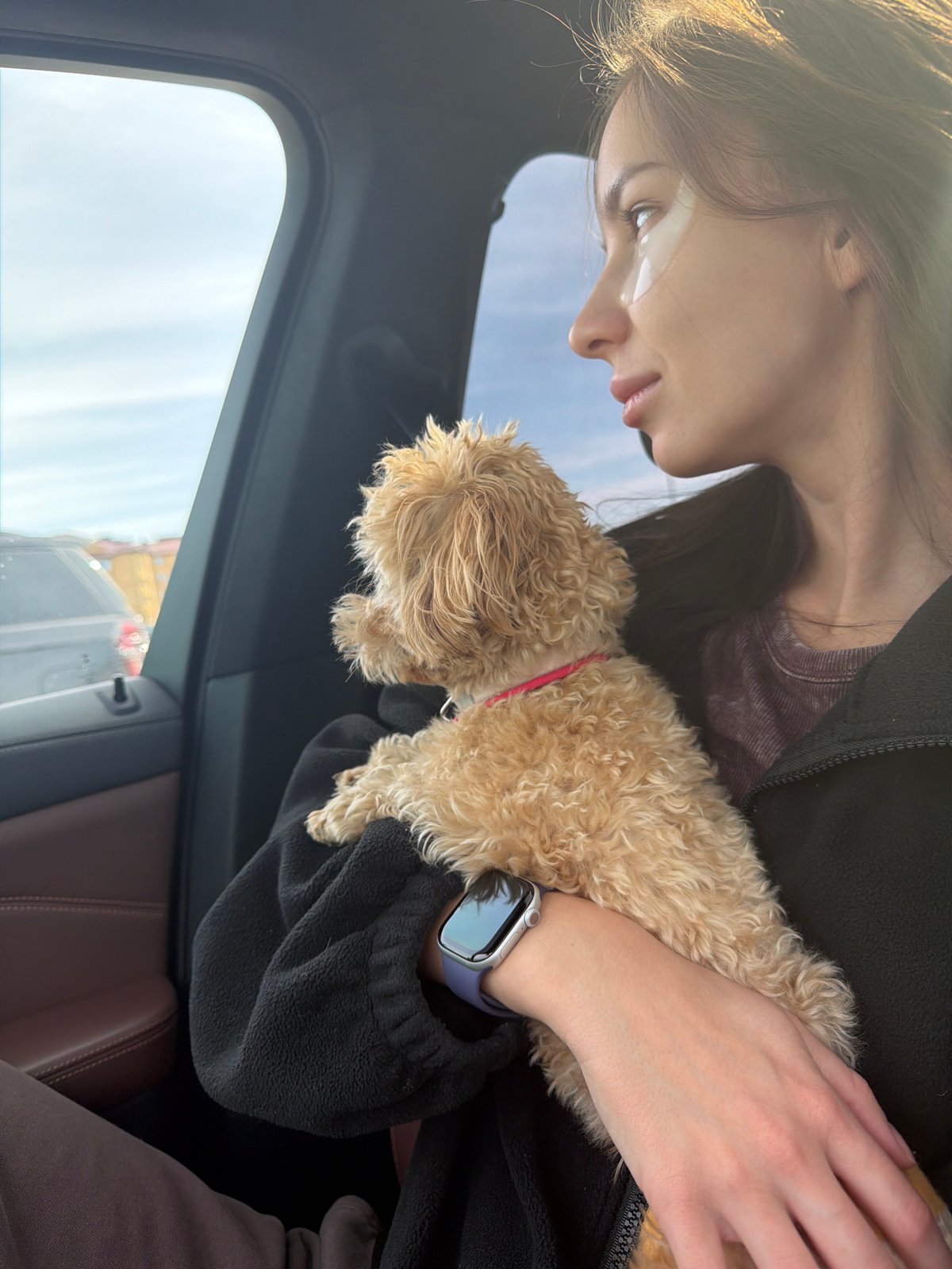 Person holds small dog in vehicle in Мокшино, Russia