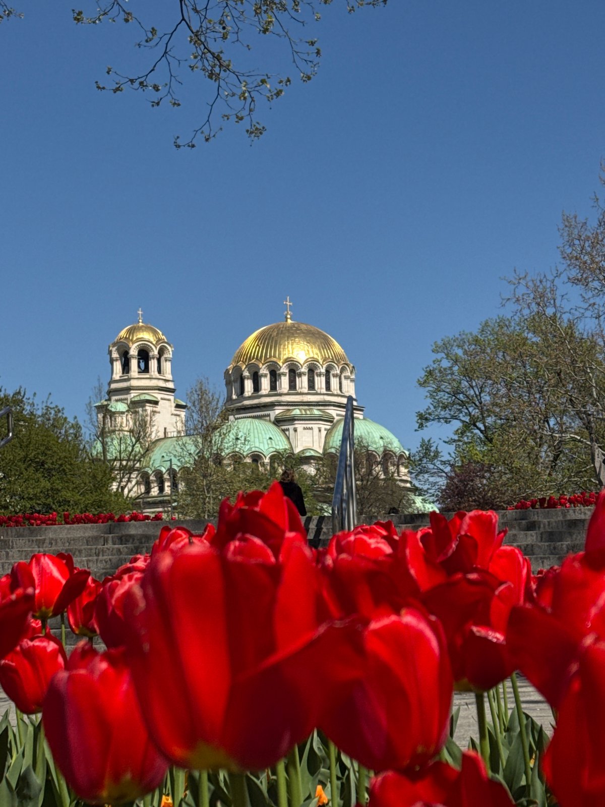 Spring tulips bloom near Alexander Nevsky Cathedral in Sofia
