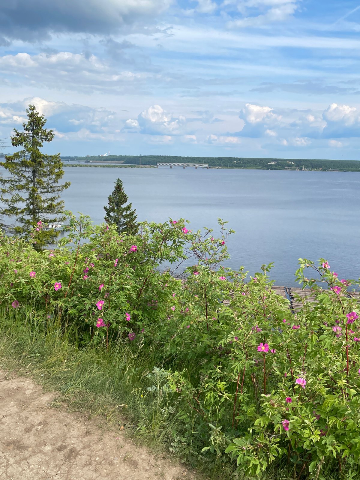Family outing at Russian riverside cliffs captures peaceful moments