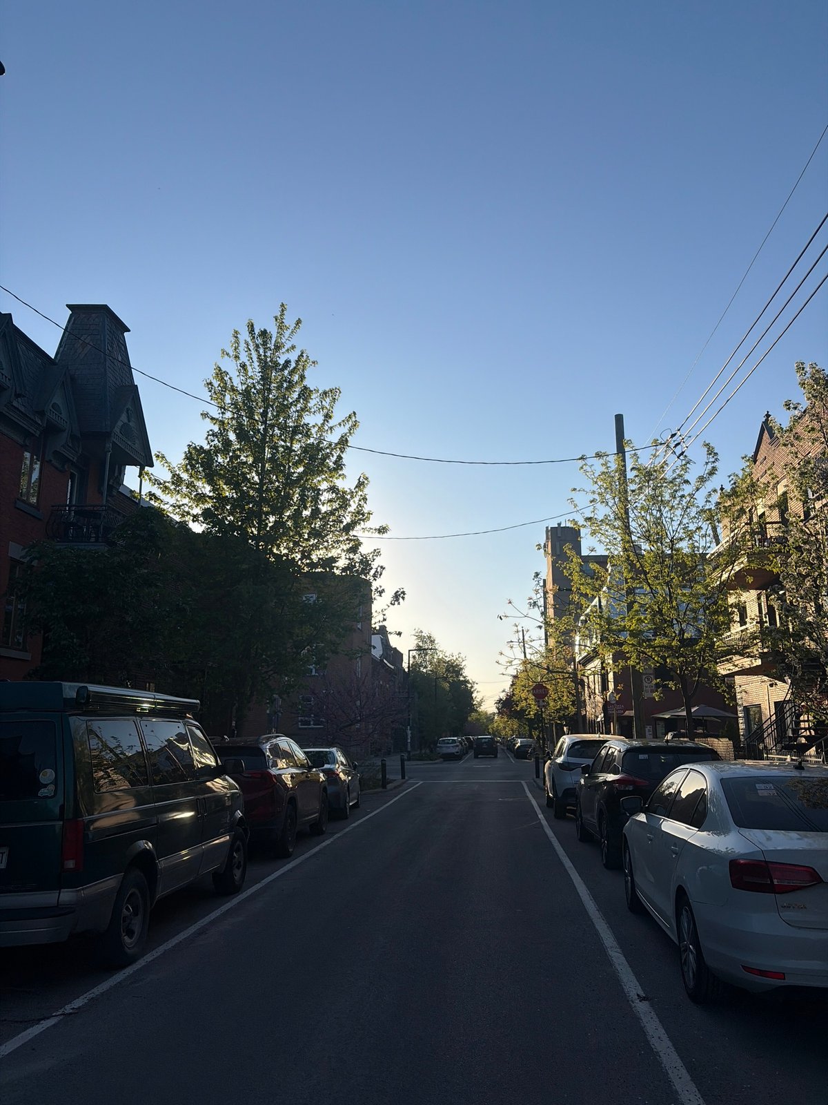 Quiet residential street captured in Montreal on sunny evening