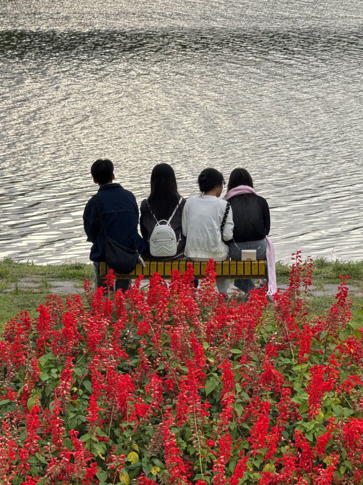 Overcast morning around Xuan Huong Lake, Da Lat