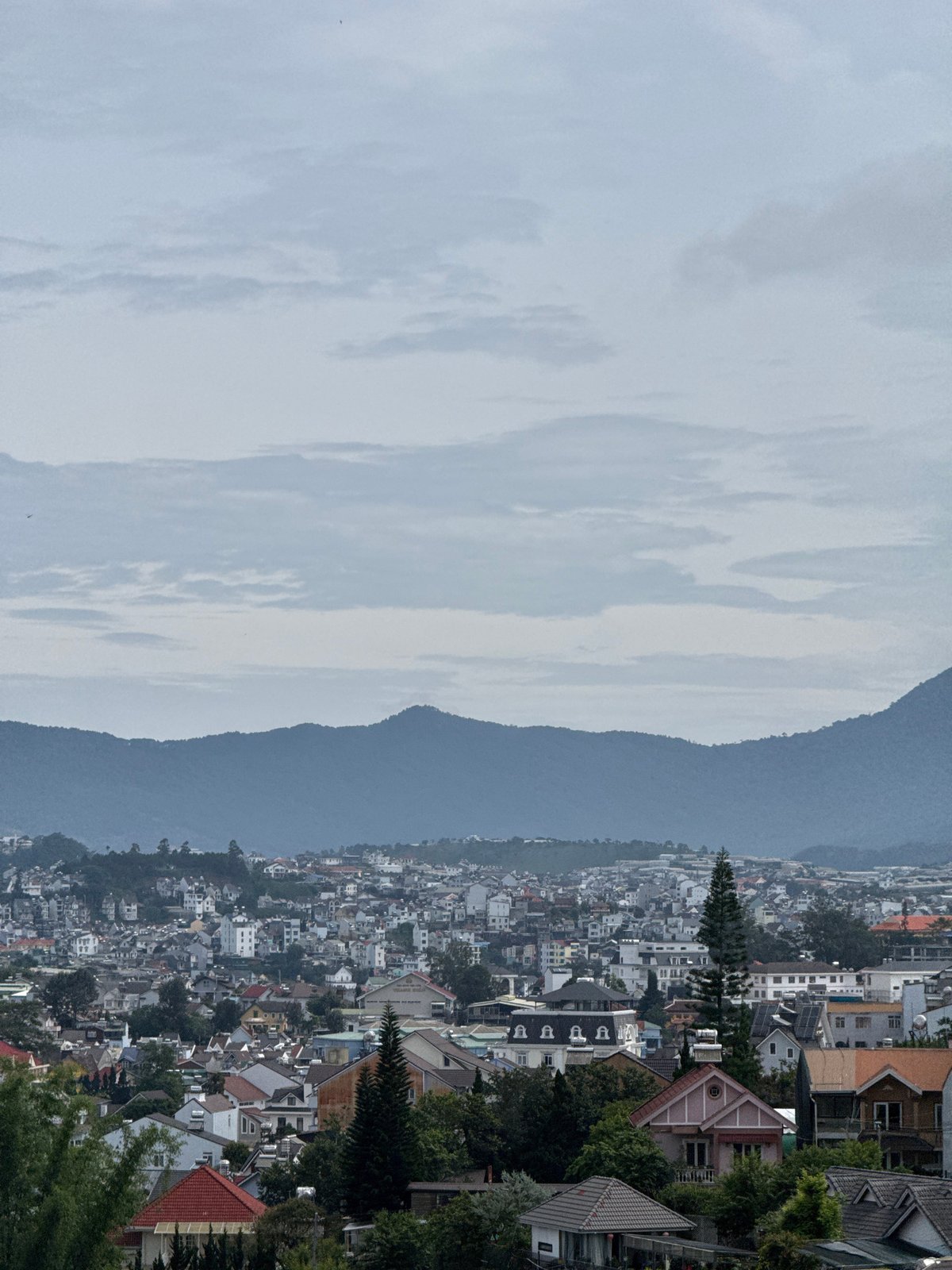 Late-night ride through Da Lat's hilly, wire-strung streets