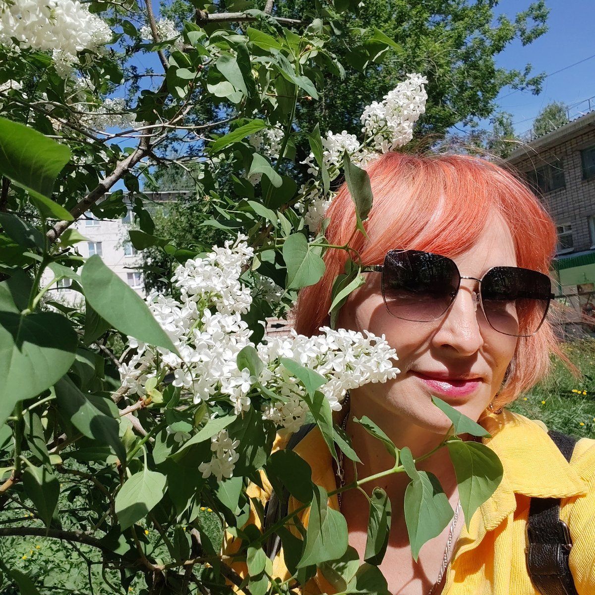 Spring Morning Snapshots Captured Across Chaikovsky, Russia