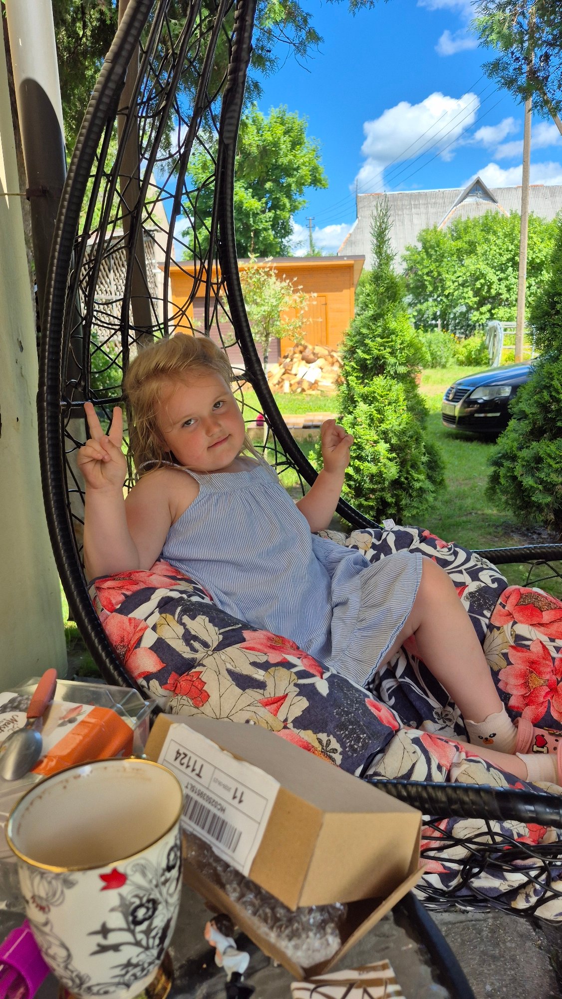 Summer morning at a Švenčionys backyard, church nearby