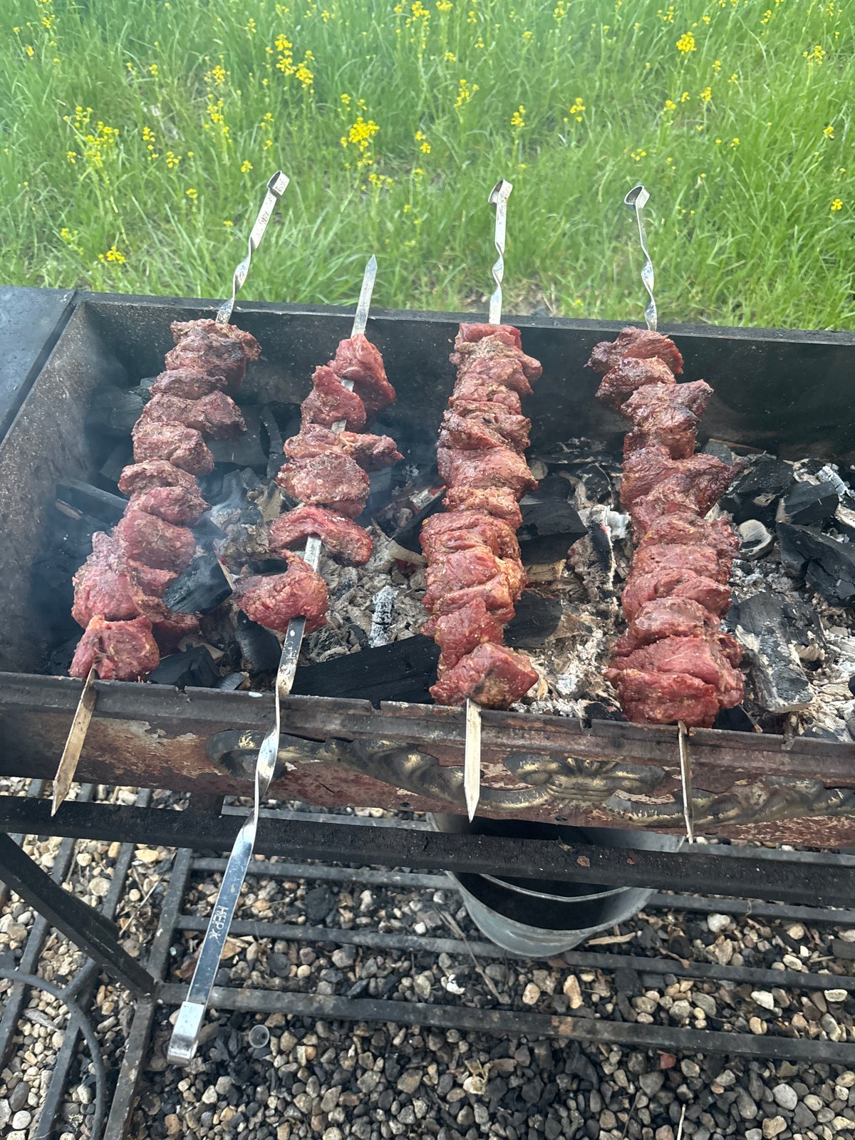Outdoor grilling session documented in Podzhigorodovo, Russia
