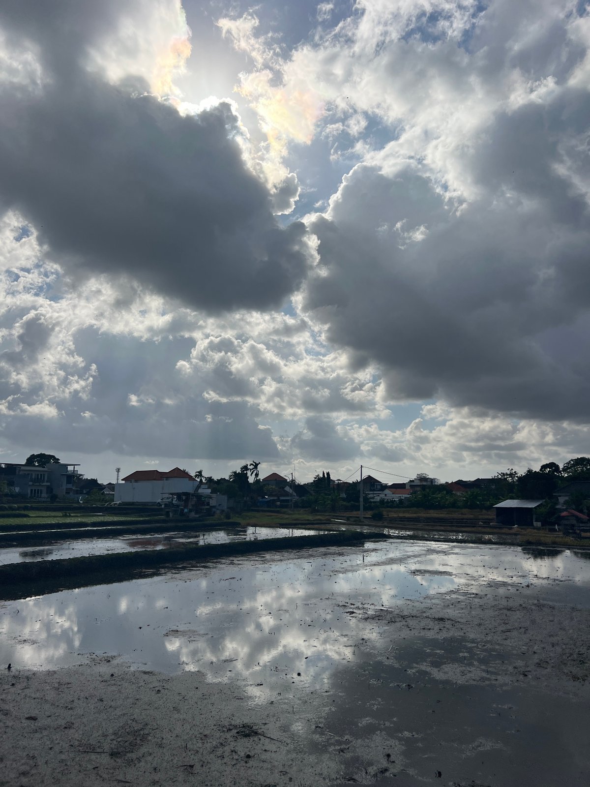 Flooded rice field reflects a dramatic, patchy sky in North Kuta