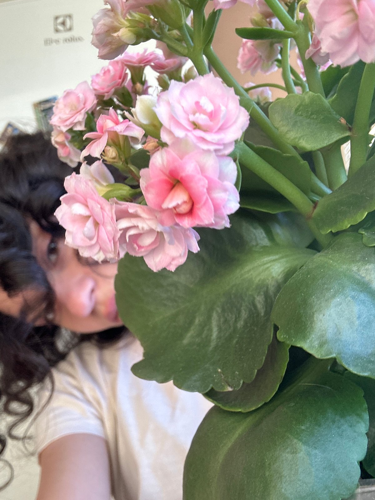 Selfie session with flower photography in Sofia