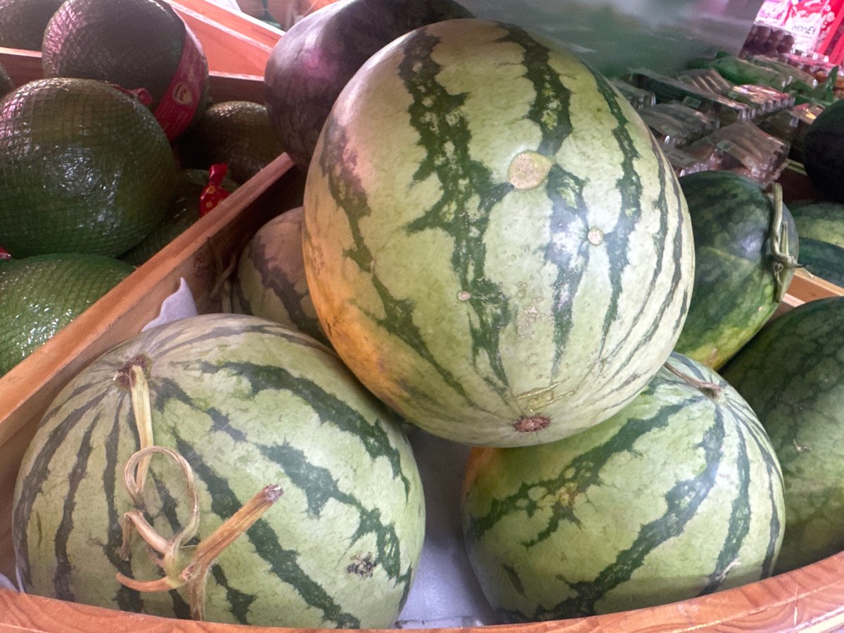 Shopper documents fresh fruit market visit in Nha Trang