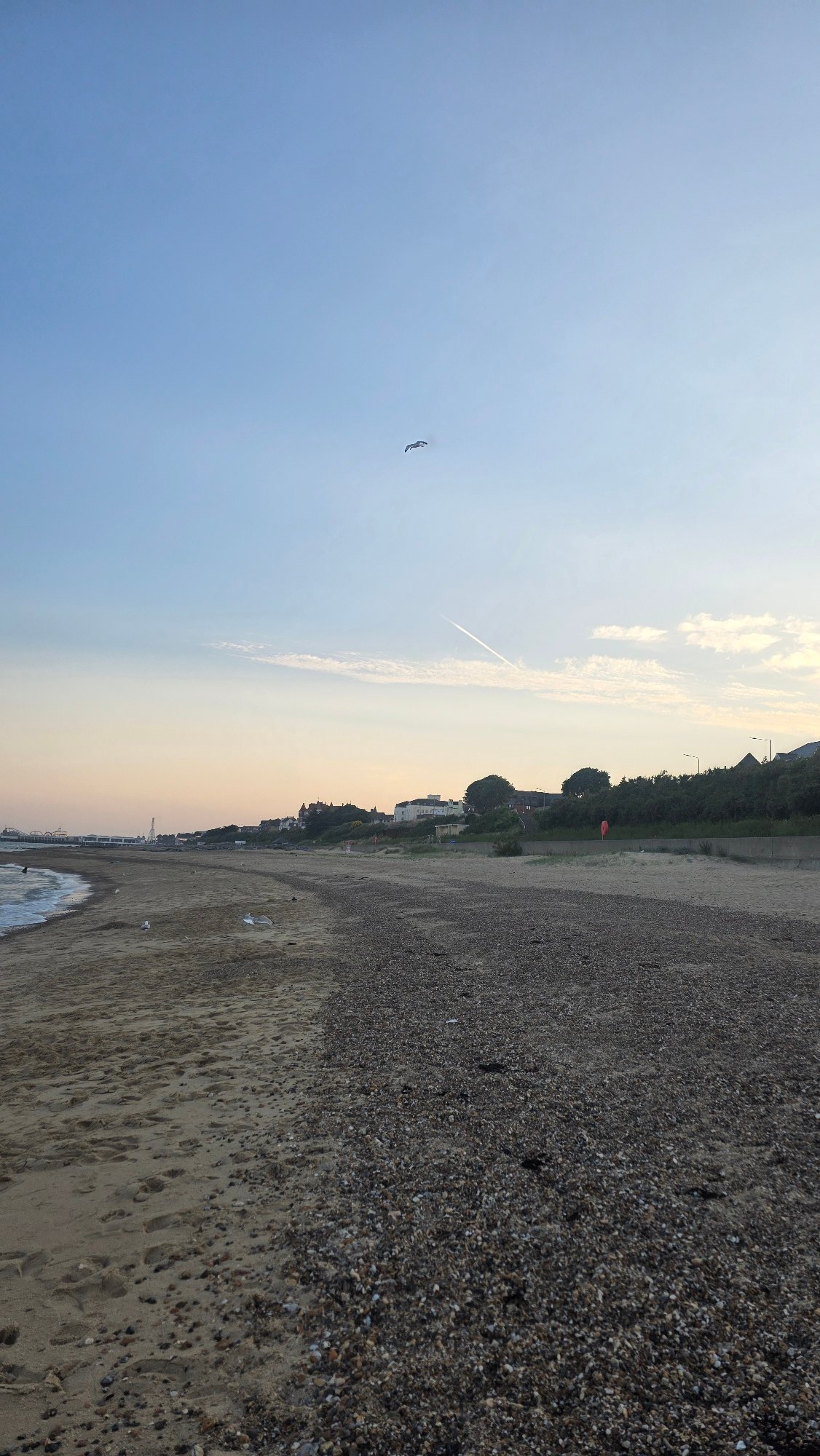 Beach at golden hour into twilight, moon rising over calm surf