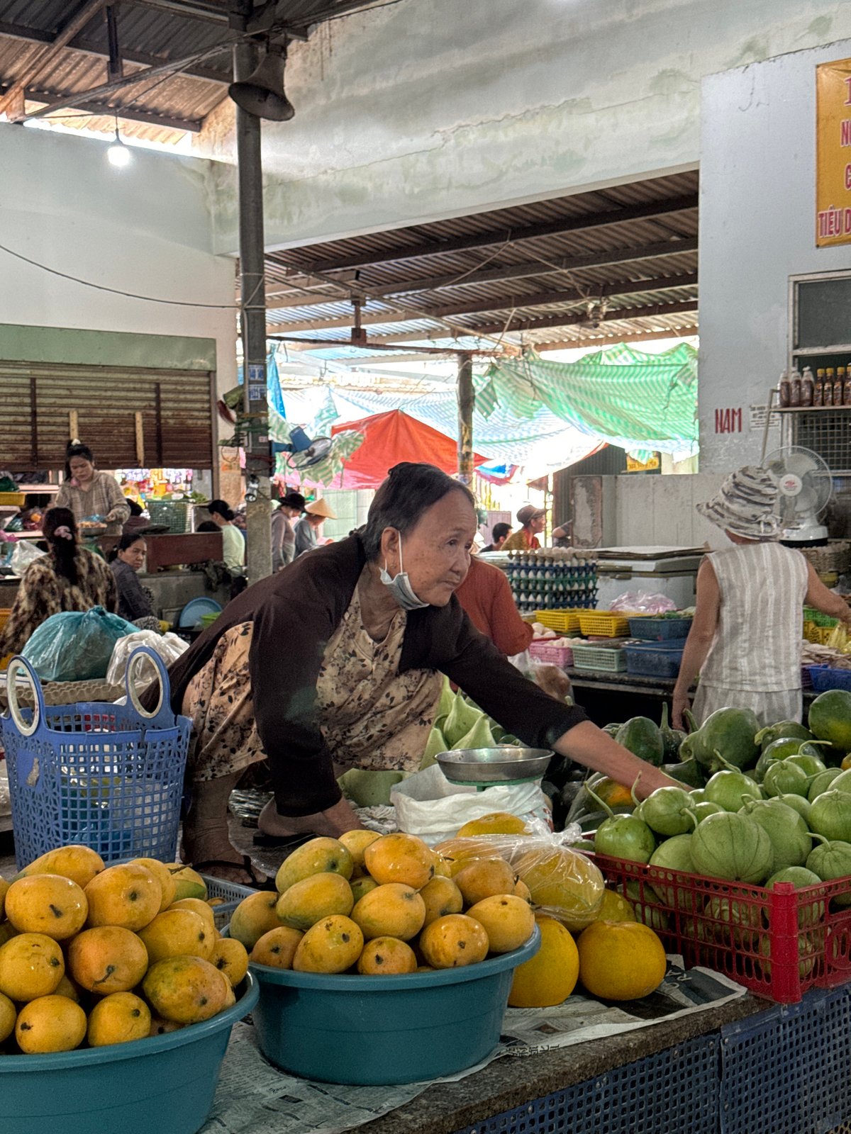 Woman shops for produce at indoor market in Mũi Né