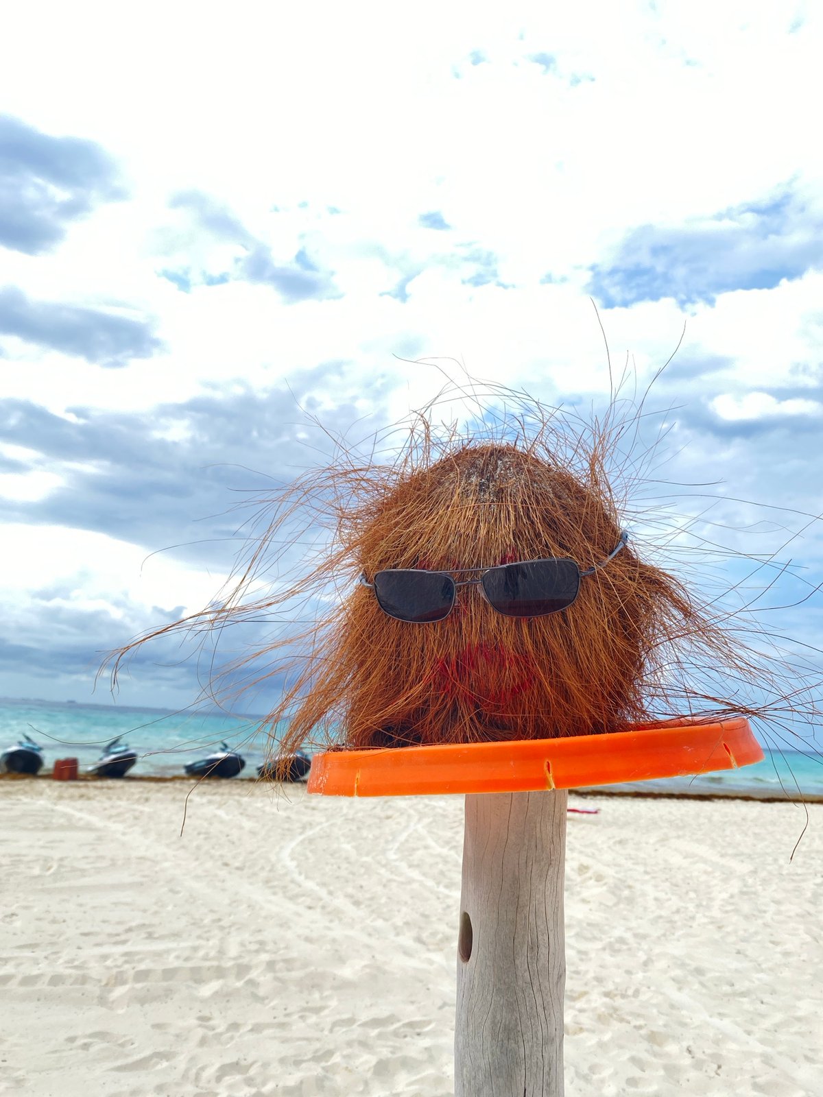 Sunglassed coconut spotted on Playa del Carmen beach