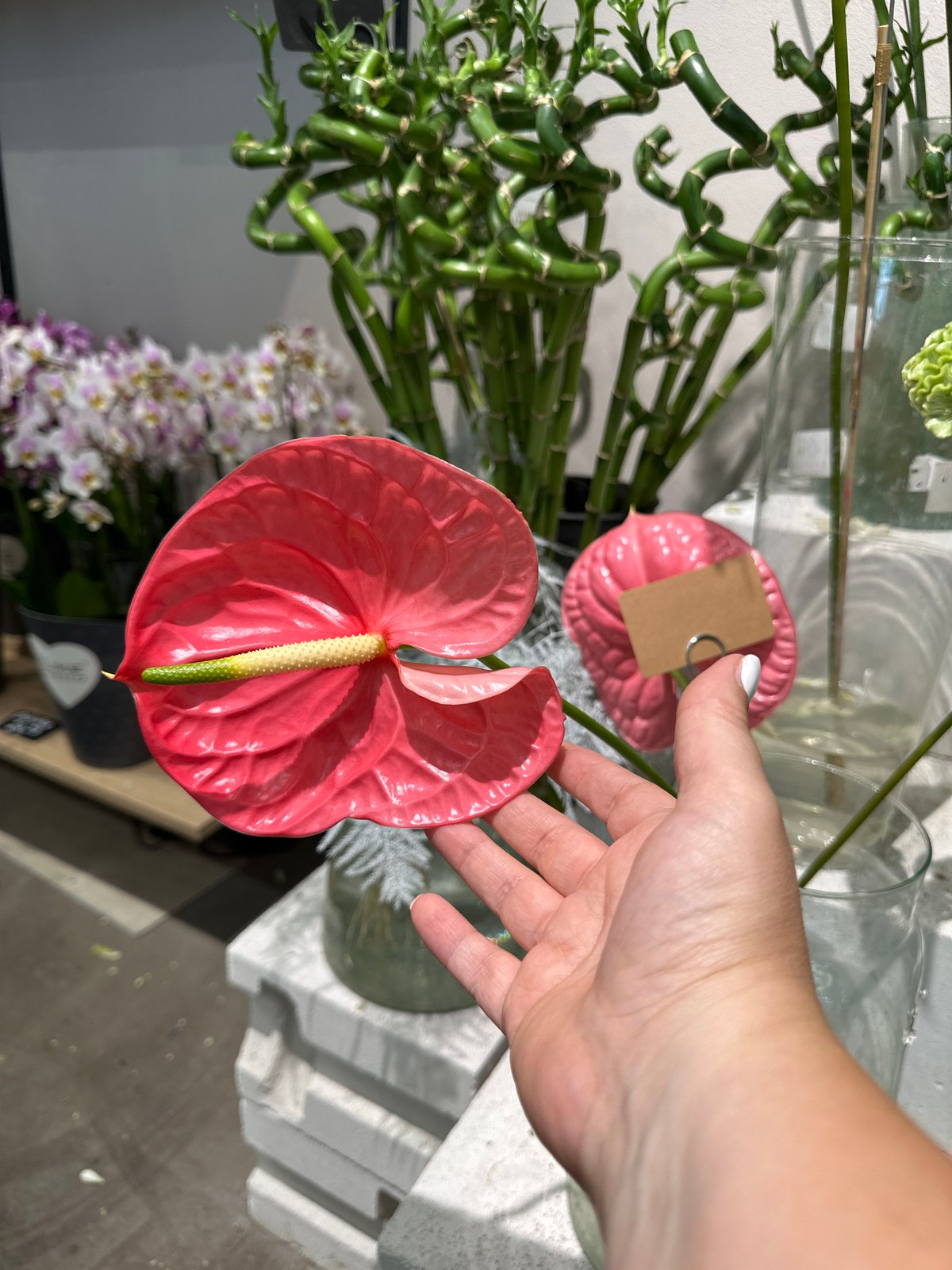 Flower shop browsing and cobblestone streets in Krefeld