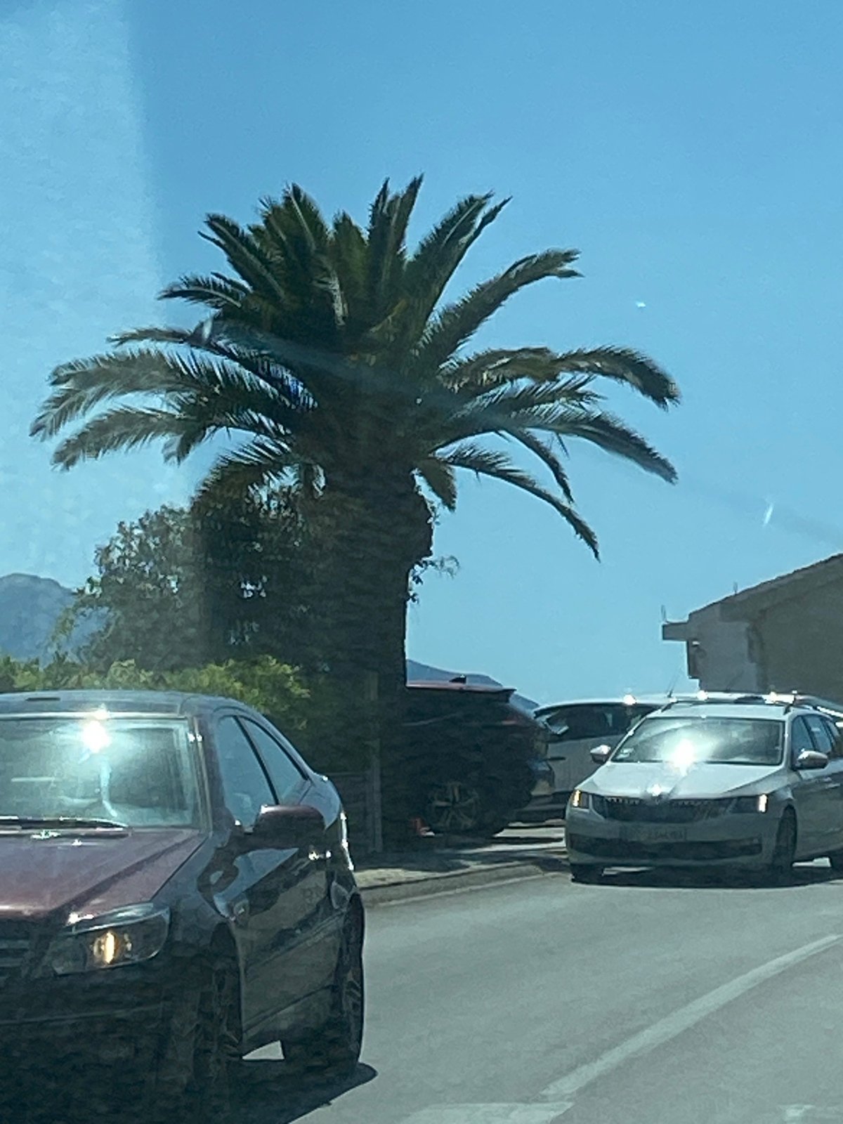 Sunny morning street scene in coastal Budva, Montenegro