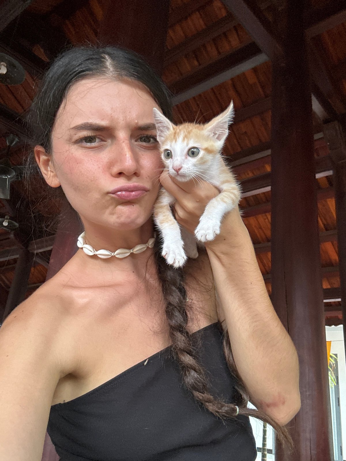 Woman feeds orange kitten in Mũi Né, Vietnam
