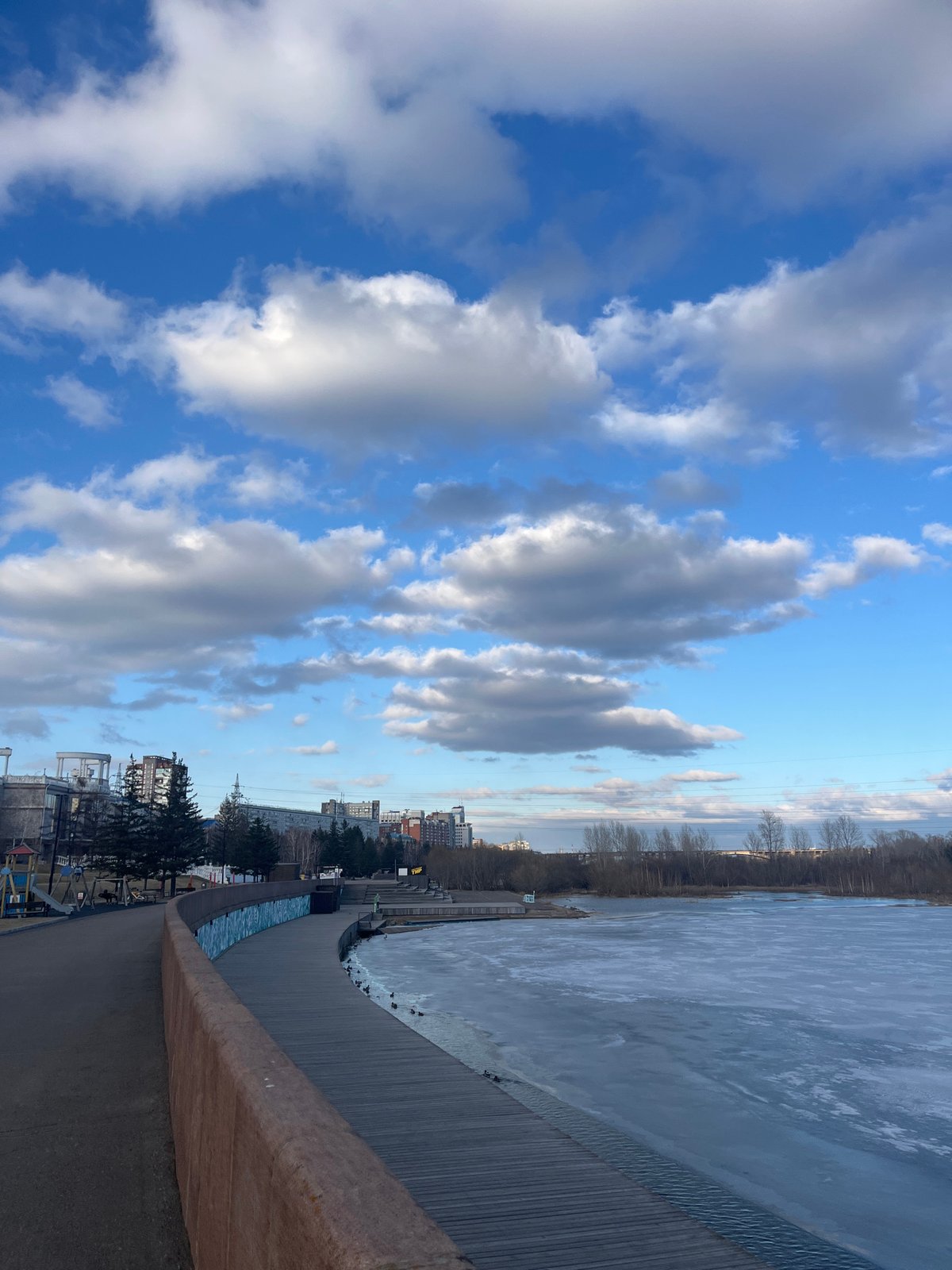 Winter day documented along Krasnoyarsk riverfront with pedestrians, wildlife