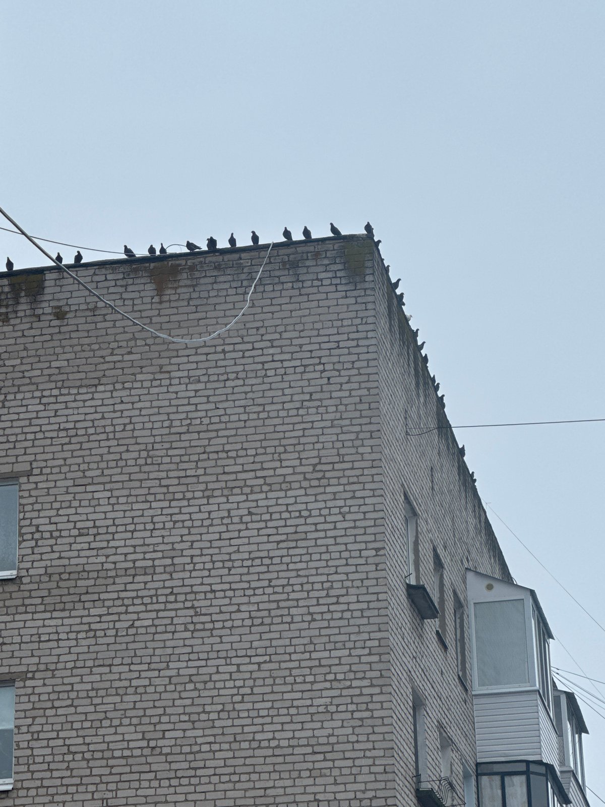 Early morning domestic life documented in Chaikovsky, Russia