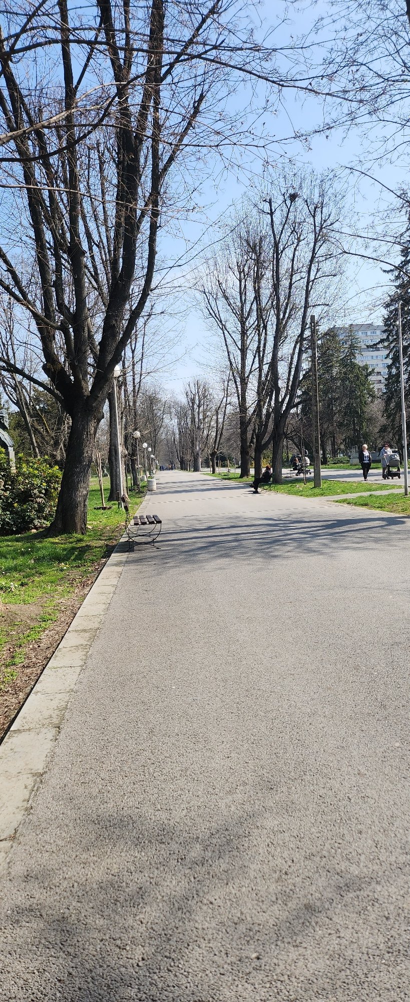 Spring morning street scene captured in Ruse park area