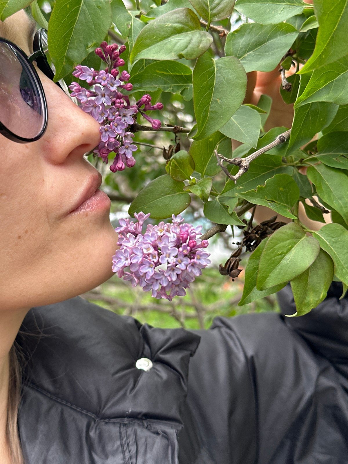 Person with glasses lies close to purple lilac flowers