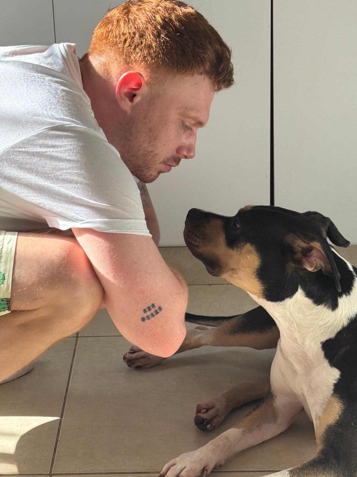 Man prepares meal while interacting with dog in Tel Aviv